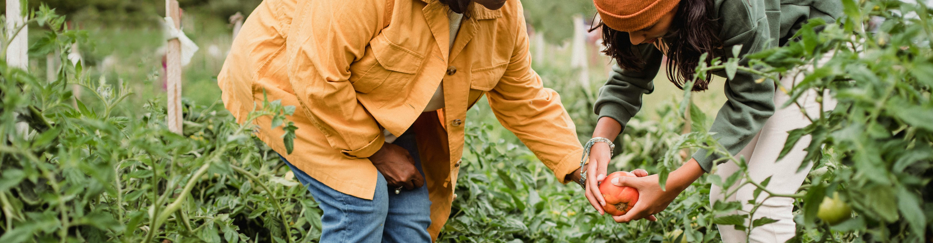 Les avantages d'un système alimentaire durable - Le Grand Dialogue pour la transition socio-écologique du Saguenay—Lac-St-Jean