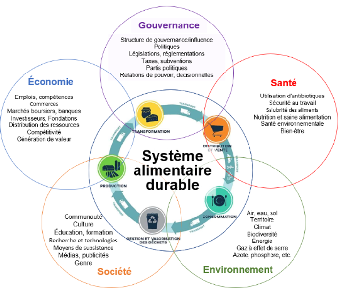 Système alimentaire durable complexe