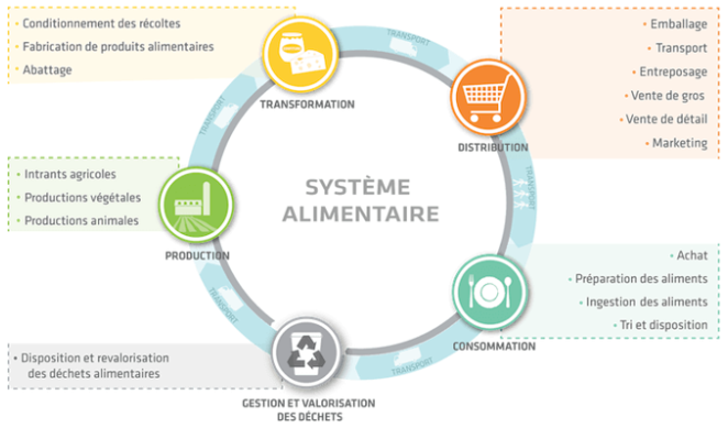 Représentation simplifiée du système alimentaire avec activités